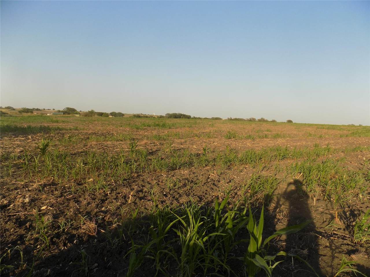 0 Krause Rd - Photo 1