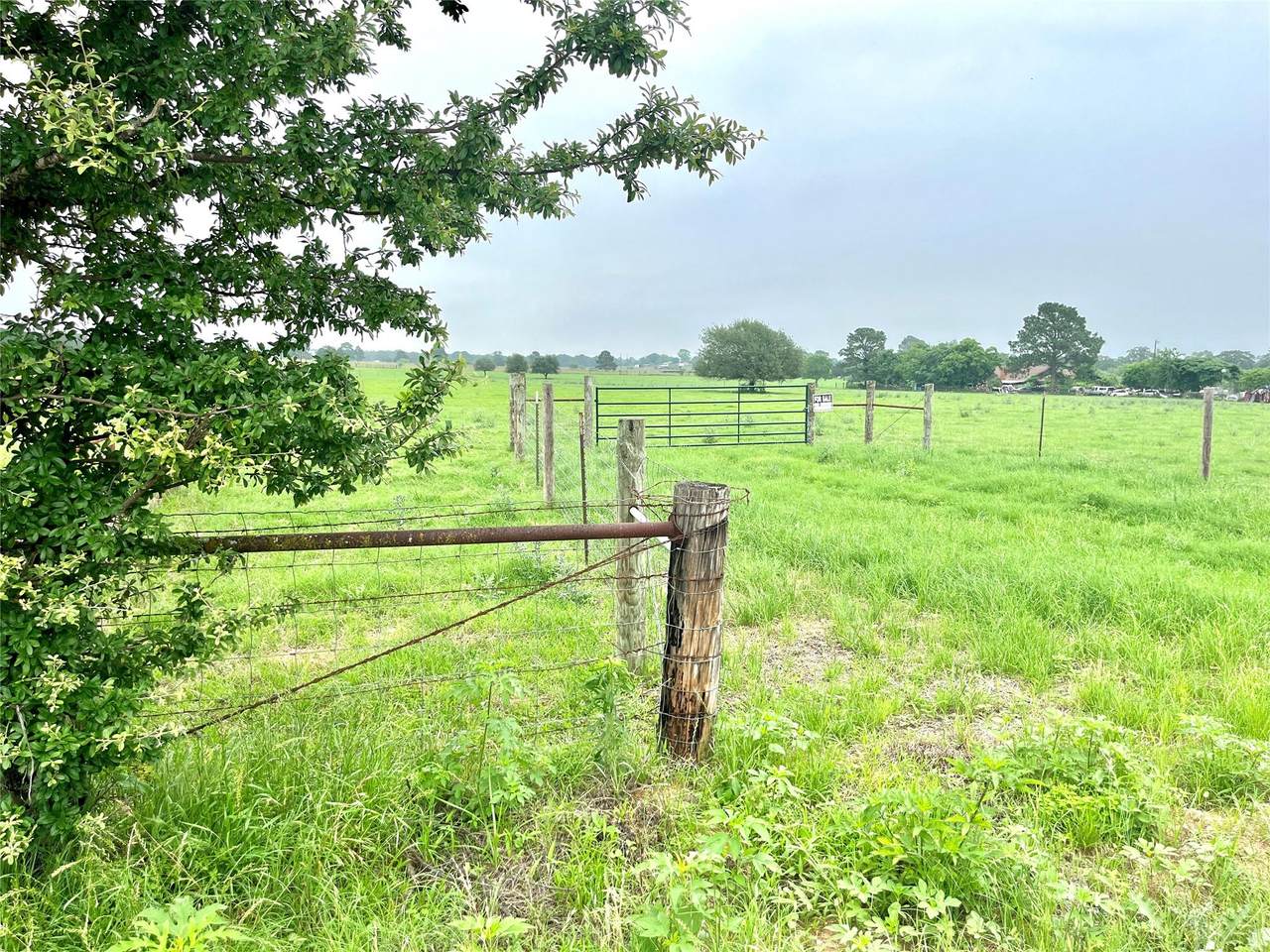 5.556 acres Farris Lane Ln - Photo 1