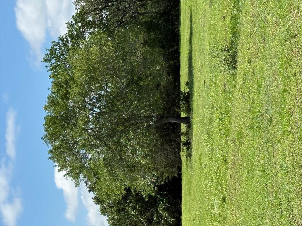 1749 Fm 535 - Photo 1