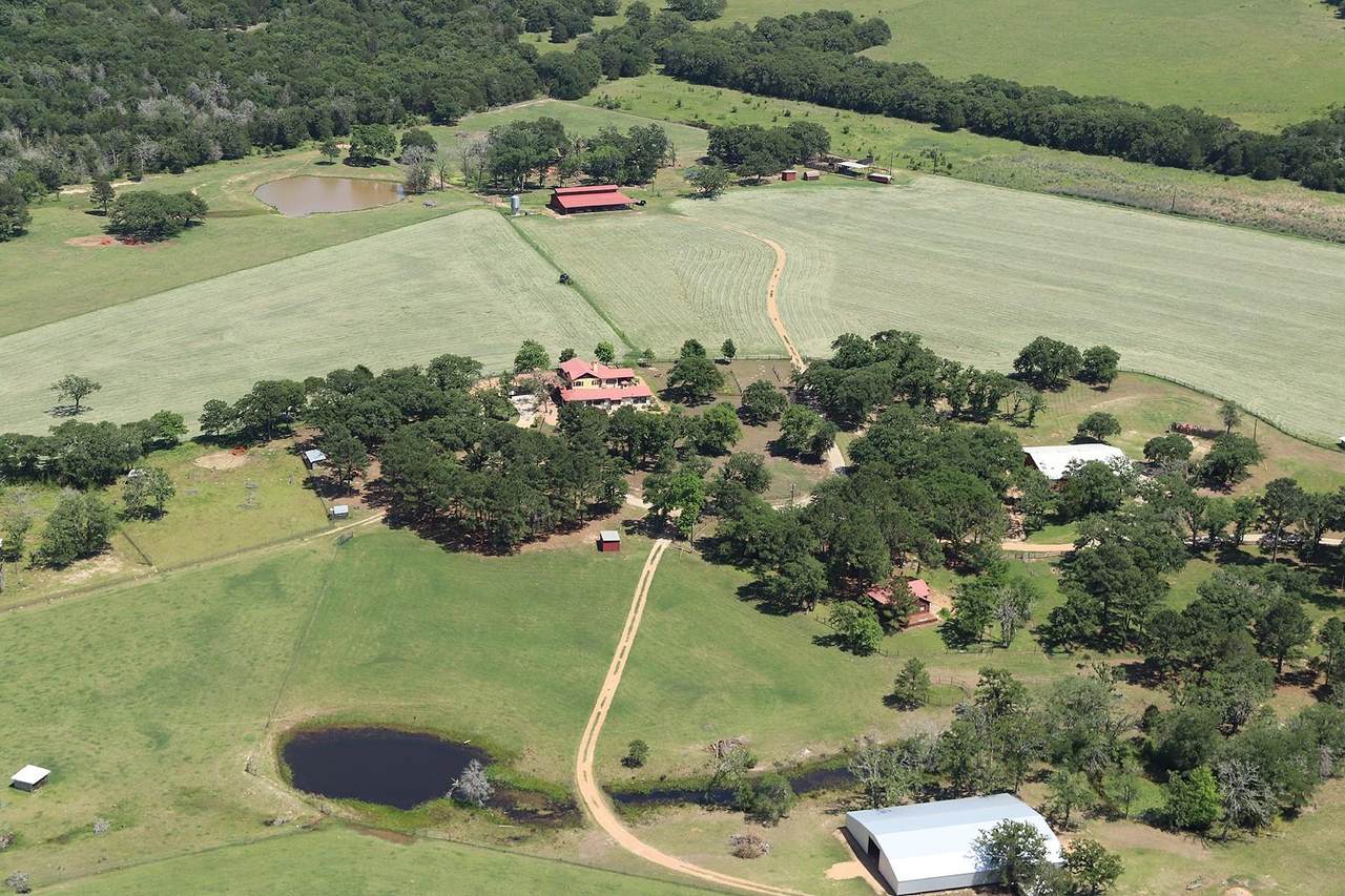 363 Paint Creek South Rd - Photo 1