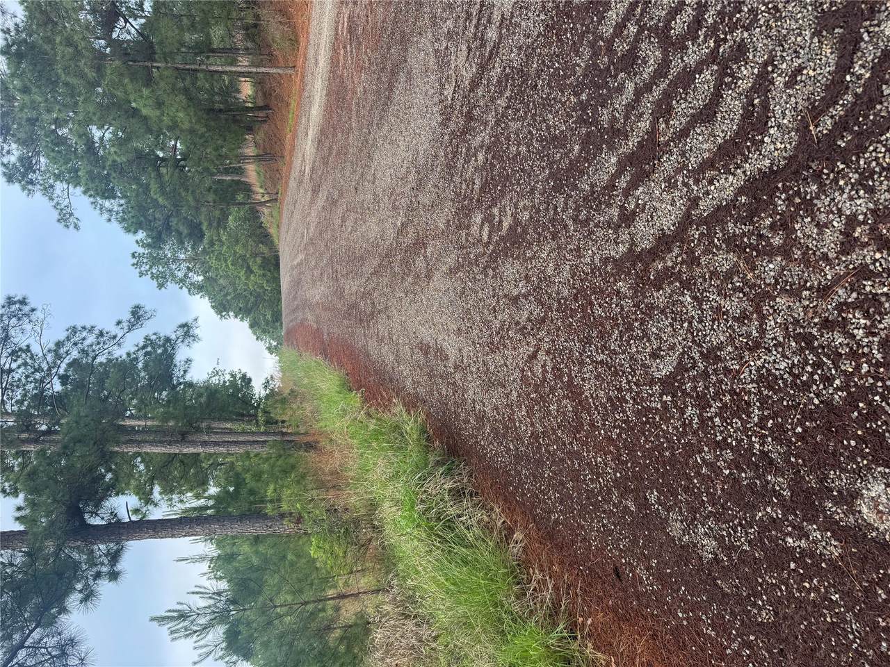 Lots 1490, 1491, 149 Haleakala - Photo 1