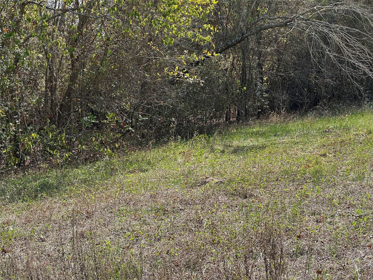 https://bt-photos.global.ssl.fastly.net/austin/1280_boomver_1_9037315-2.jpg