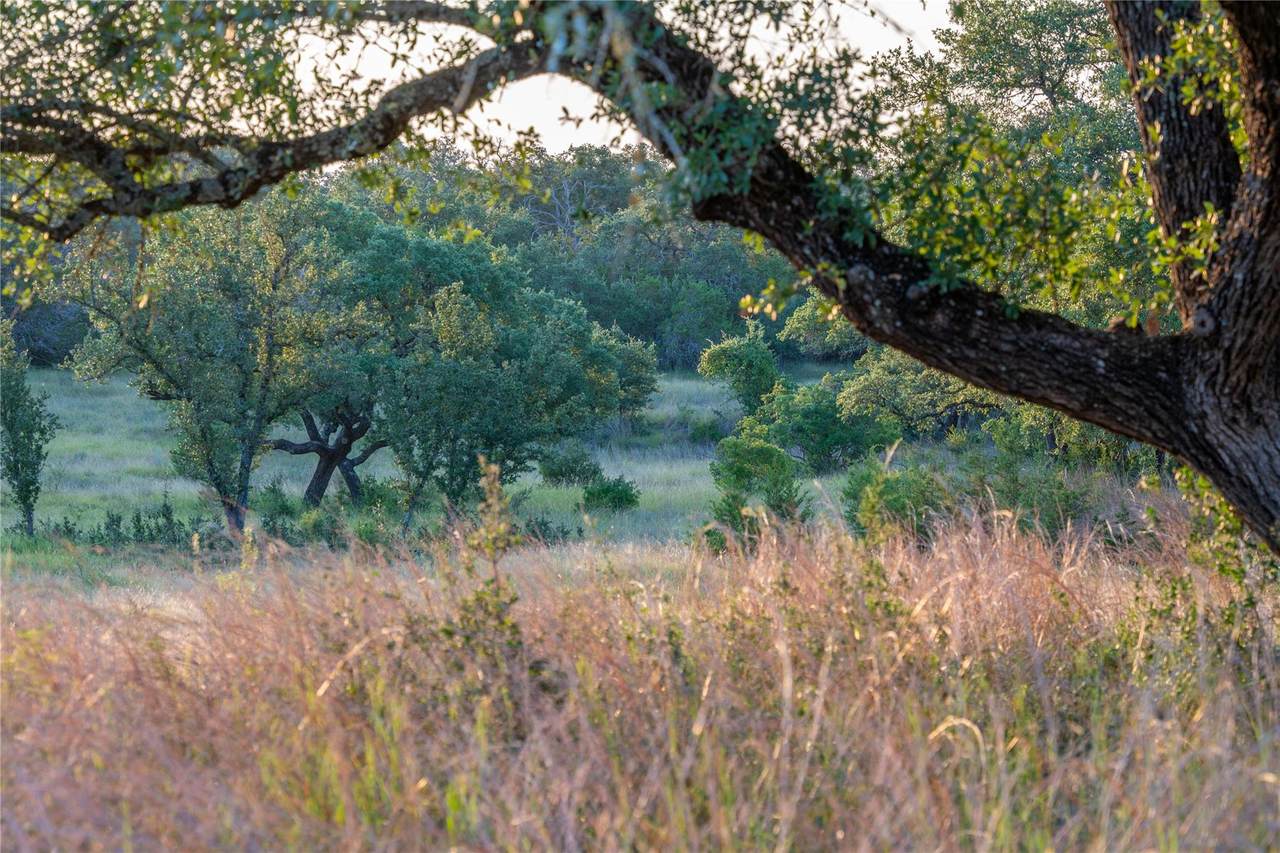 https://bt-photos.global.ssl.fastly.net/austin/1280_boomver_1_9083865-2.jpg