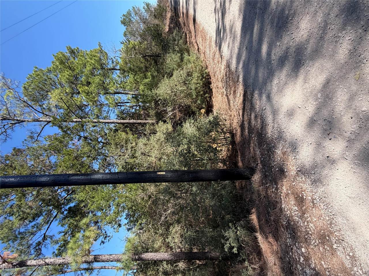 Lot 320 Keneka Ln - Photo 1