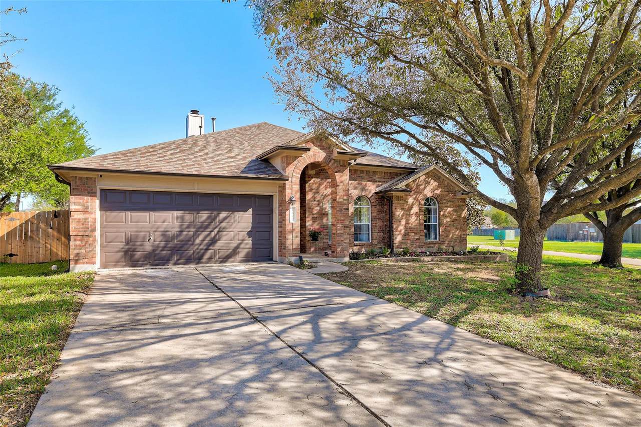 1600 Purple Iris Cv - Photo 1