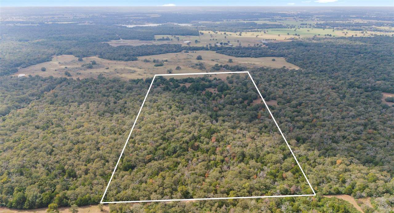 TBD County Rd - Photo 1