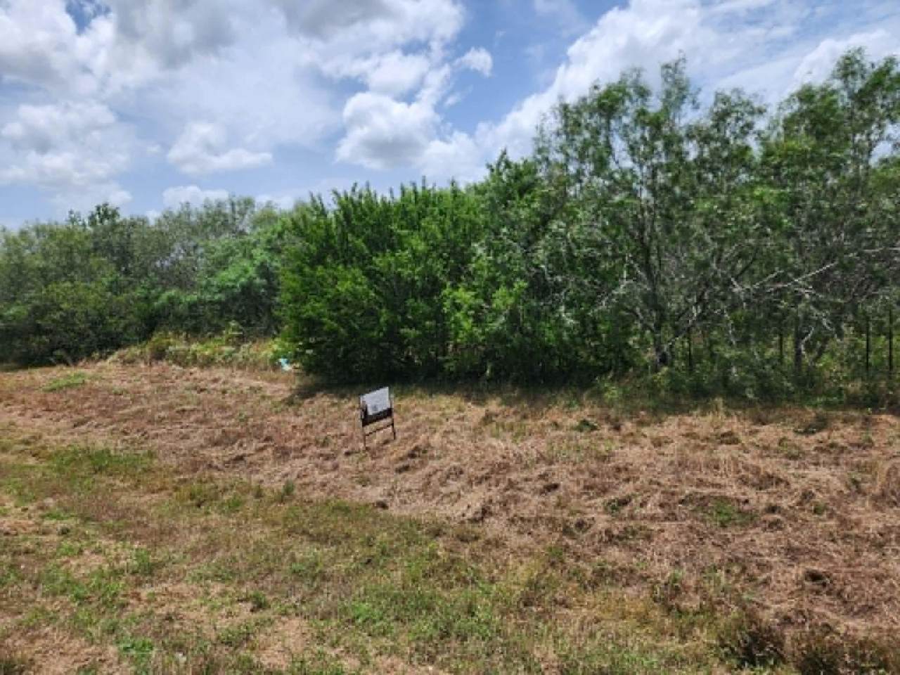 000 Fm 466 St - Photo 1