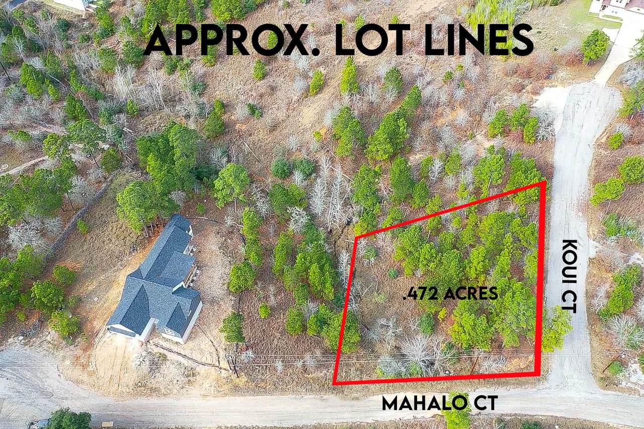 LOT 636 & 637 Mahalo Ct - Photo 1