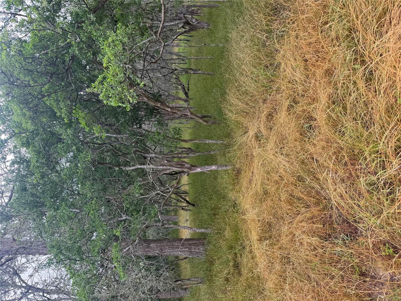 109 Hauula Ct - Photo 1