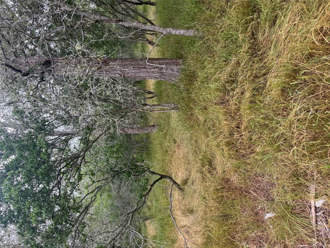 https://bt-photos.global.ssl.fastly.net/austin/1280_boomver_1_9188483-2.jpg