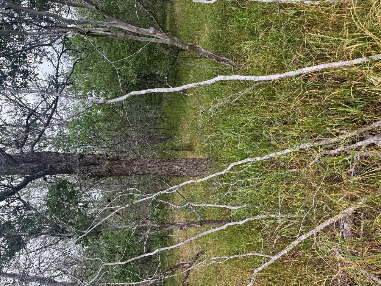 https://bt-photos.global.ssl.fastly.net/austin/1280_boomver_1_9188483-2.jpg