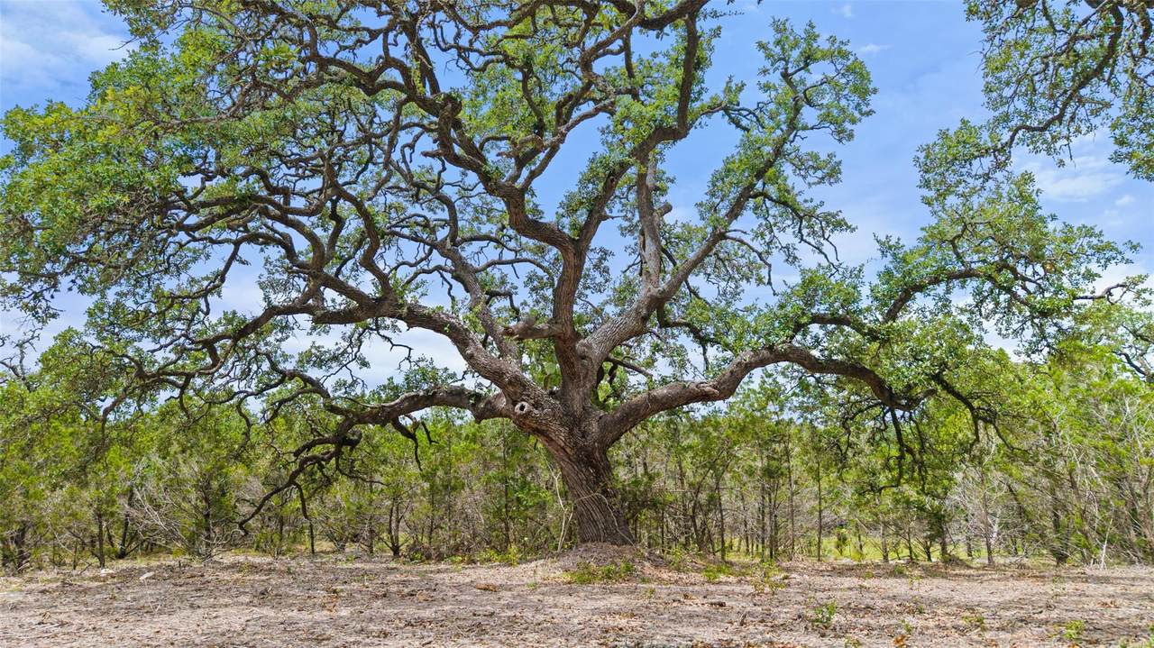 000 Oak Valley Ranch - Photo 1