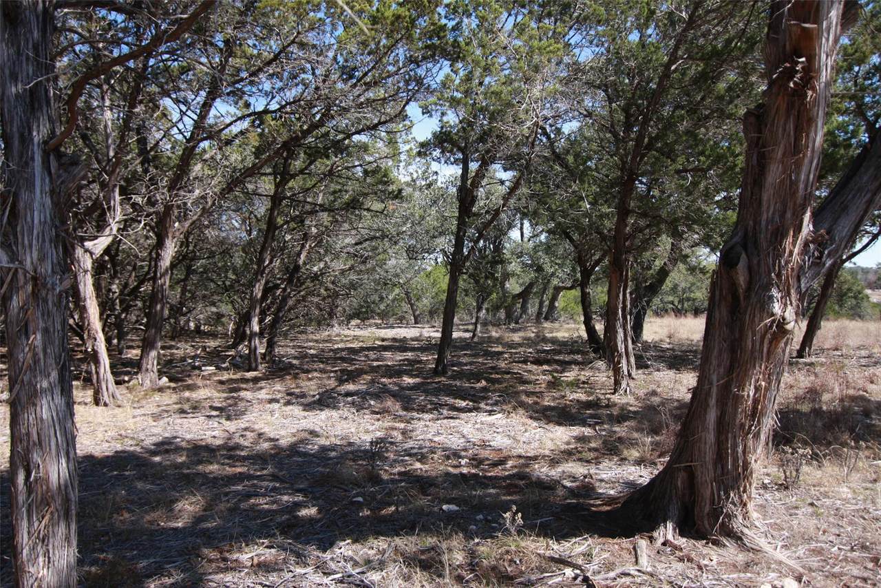 150 Patricks Way - Photo 1