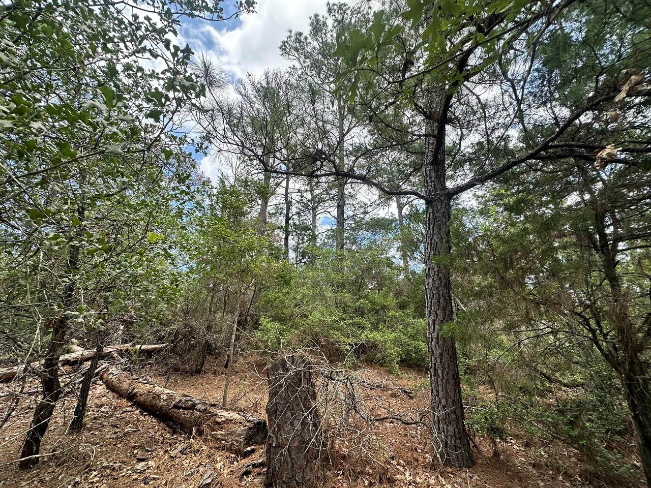 https://bt-photos.global.ssl.fastly.net/austin/1280_boomver_1_9339199-2.jpg