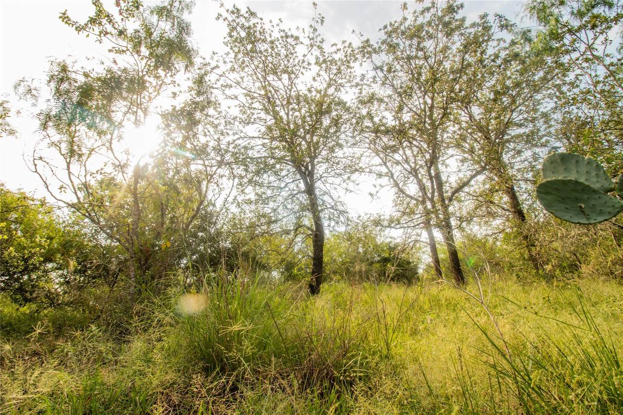 6562 Cross Rd - Photo 1