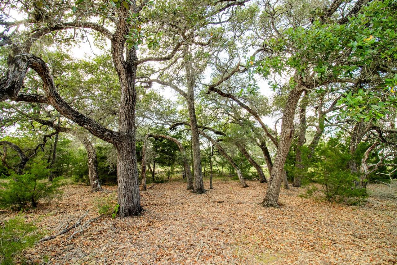 https://bt-photos.global.ssl.fastly.net/austin/1280_boomver_1_9557594-2.jpg