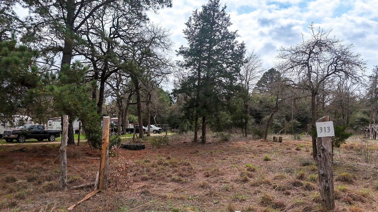 313 Dogwood Dr - Photo 1