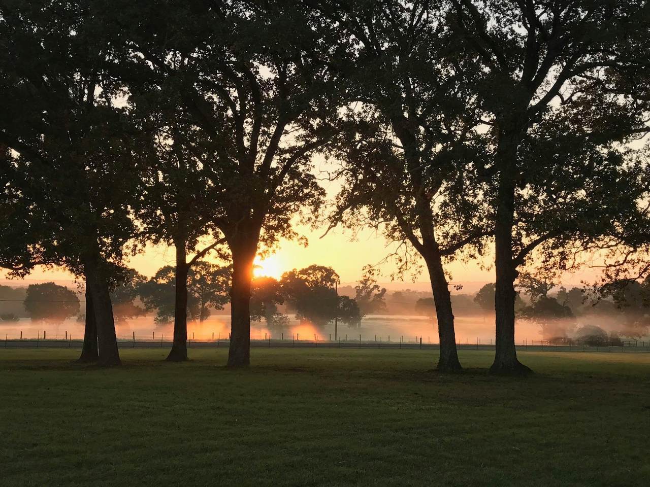 5349 State Highway 19 - Photo 1