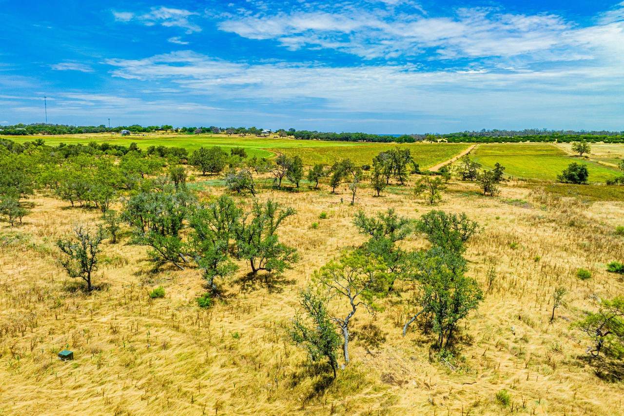 Lot 7 Harvest Hills  Harvest Hills Lane Ln - Photo 1