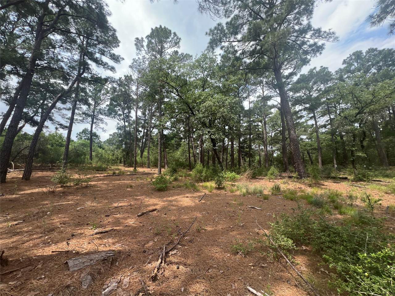 Lot 91 N. Hill Ridge Rd - Photo 1