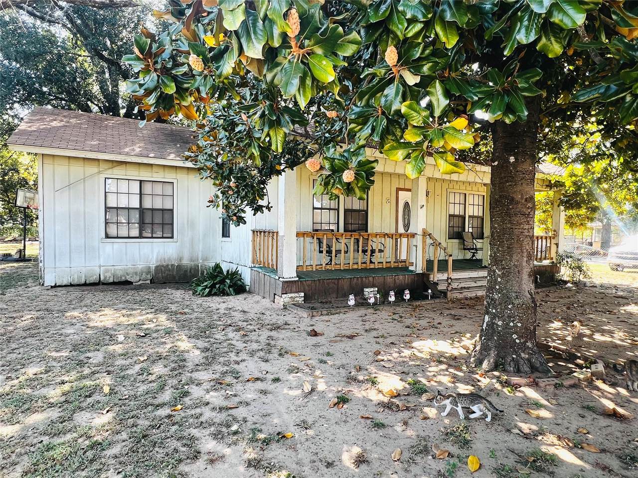 313 Nolan Ave - Photo 1