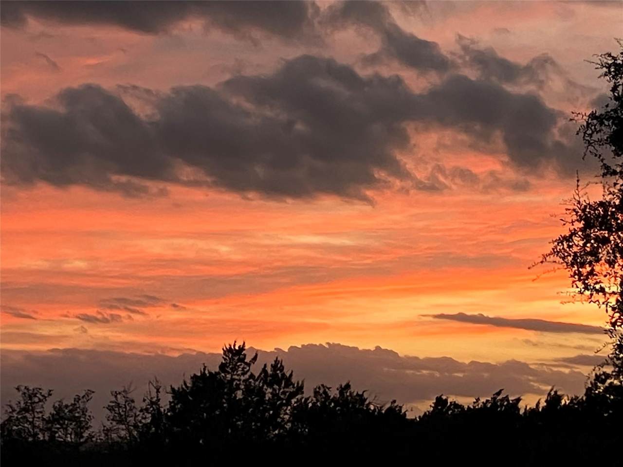 TBD Longhorn Trl - Photo 1