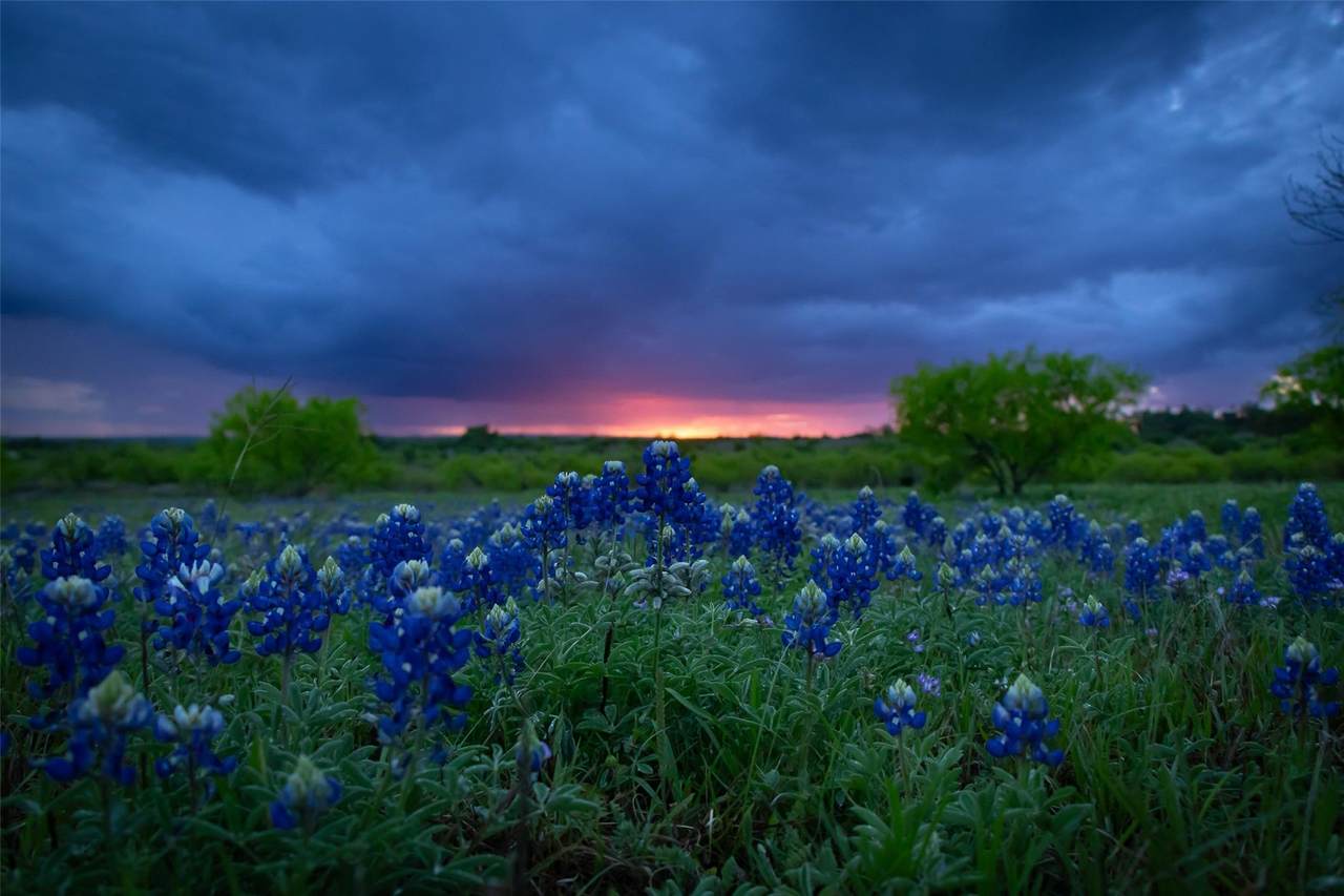 https://bt-photos.global.ssl.fastly.net/austin/1280_boomver_2_1822000-2.jpg