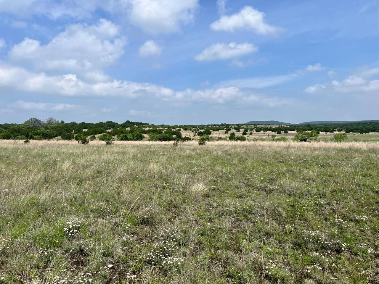 Tract 1 & 11, 4847 County Road 3300 - Photo 1
