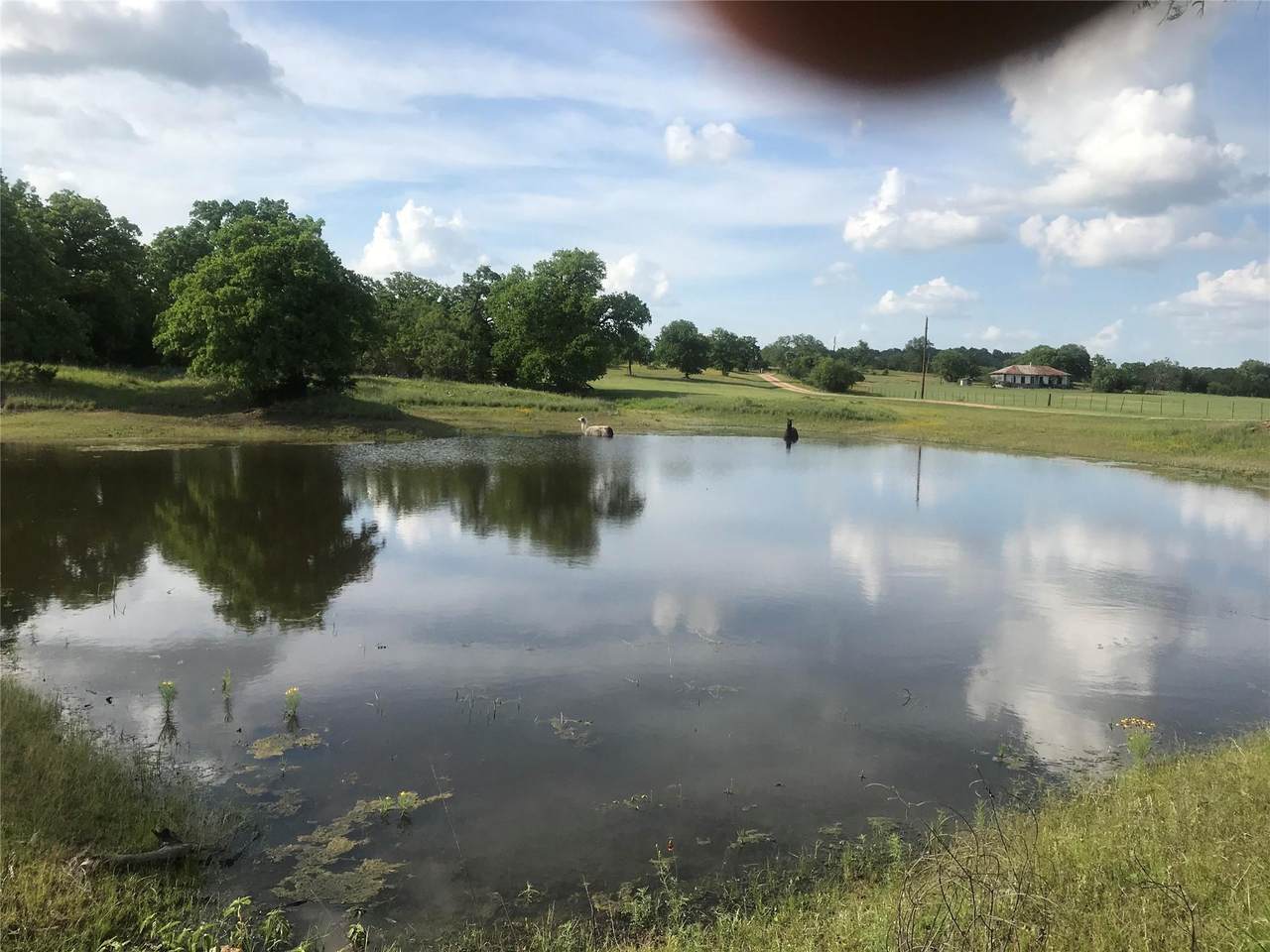 504 Sandy School Rd - Photo 1