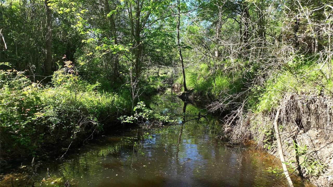 00 County Road 127 - Photo 1