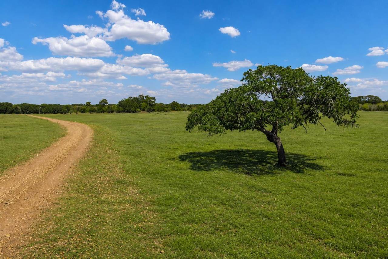 https://bt-photos.global.ssl.fastly.net/austin/1280_boomver_2_2631688-2.jpg