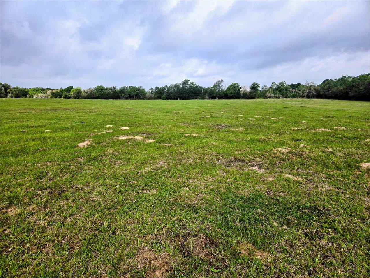 0 Hofferek Rd - Photo 1