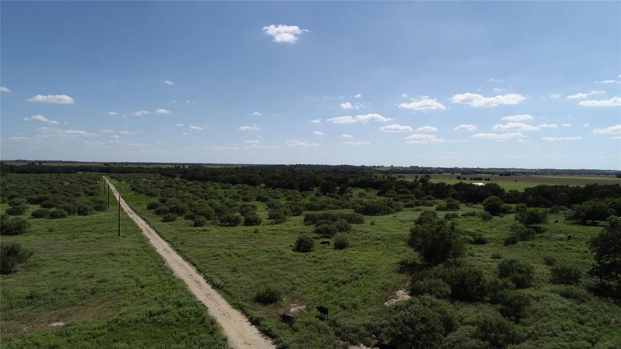 1333 County Road 414 Rd - Photo 1