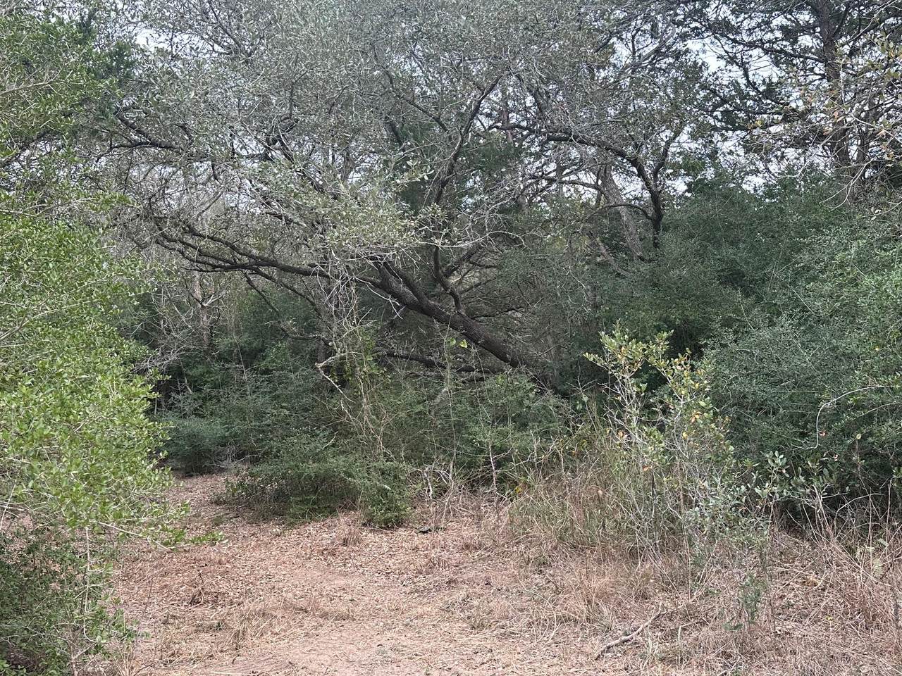https://bt-photos.global.ssl.fastly.net/austin/1280_boomver_2_3516187-2.jpg