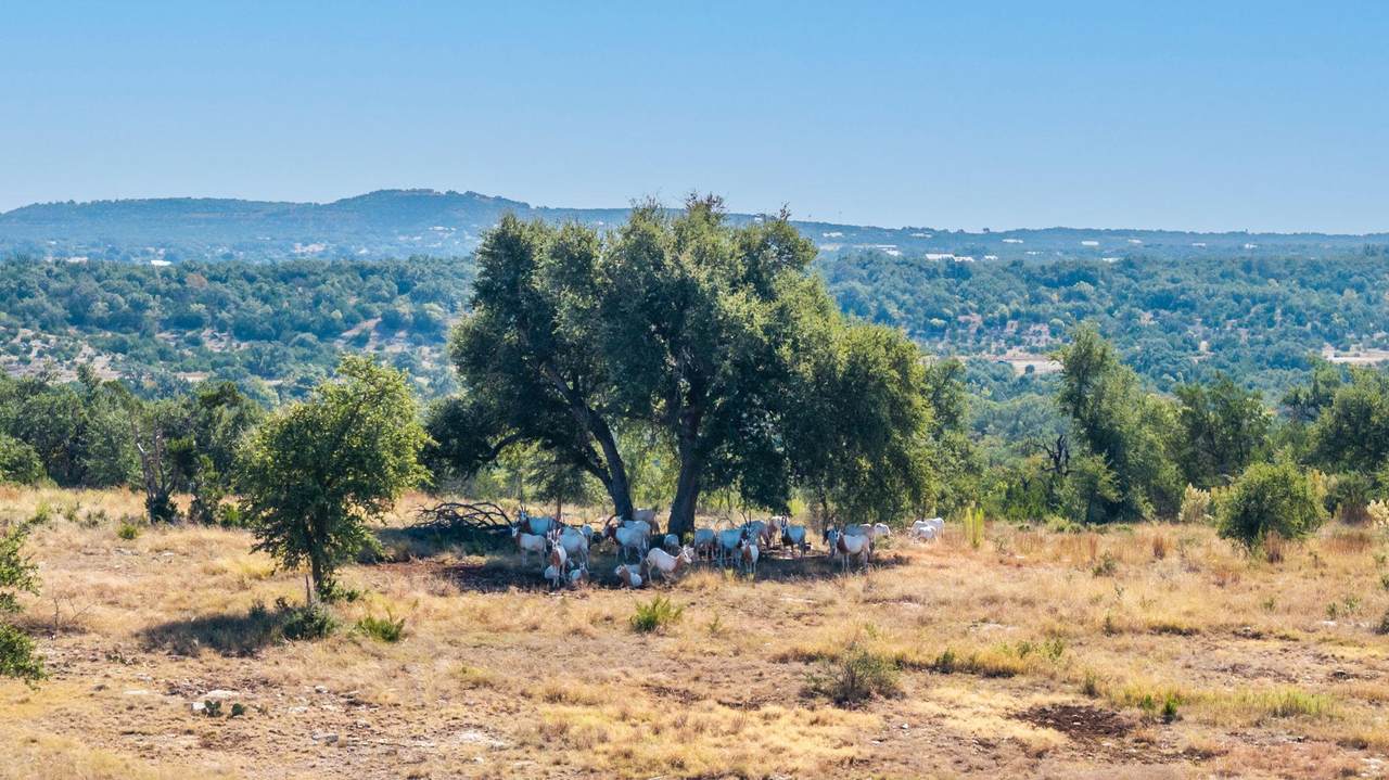 199 Flat Rock Way - Photo 1