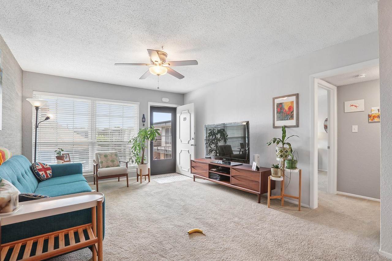 2425 Ashdale Dr - Photo 1