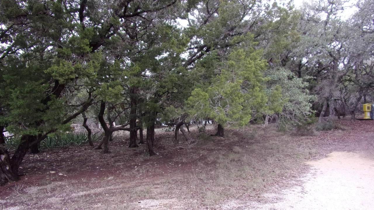 https://bt-photos.global.ssl.fastly.net/austin/1280_boomver_2_4272067-2.jpg