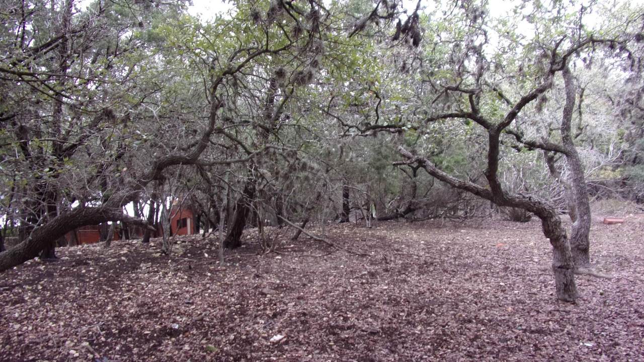 https://bt-photos.global.ssl.fastly.net/austin/1280_boomver_2_4272067-2.jpg