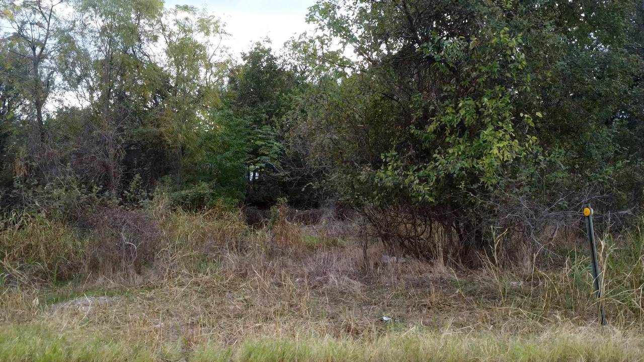 13295 Mockingbird Dr - Photo 1