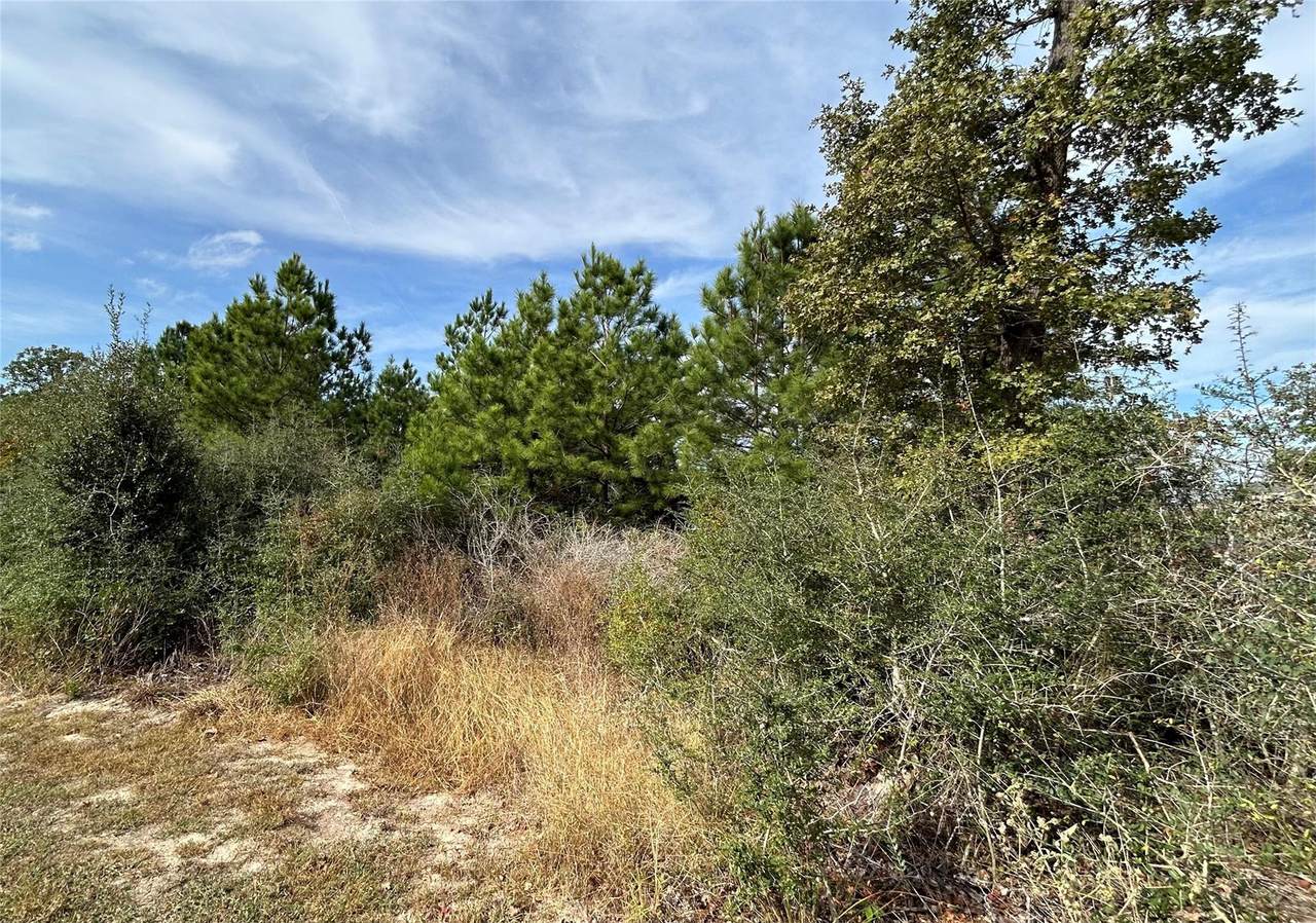 TBD Jim Bowie Dr - Photo 1