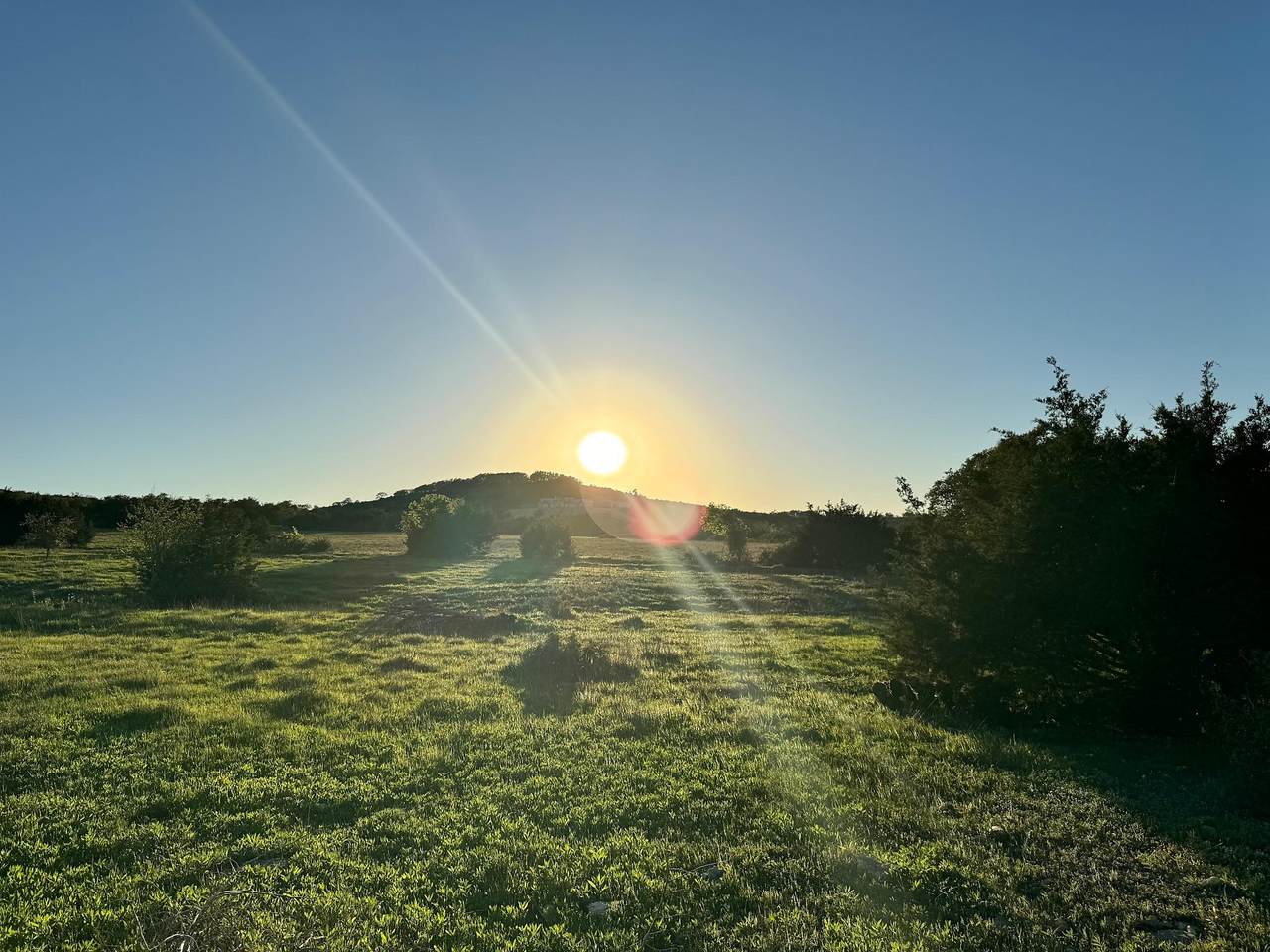 105 Majestic Hills - Photo 1