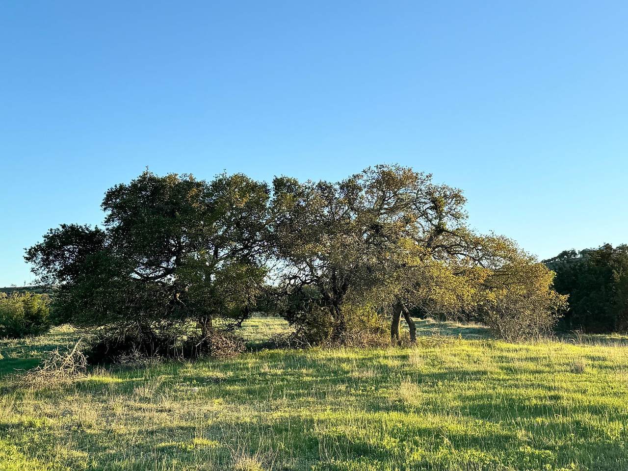https://bt-photos.global.ssl.fastly.net/austin/1280_boomver_2_5993490-2.jpg