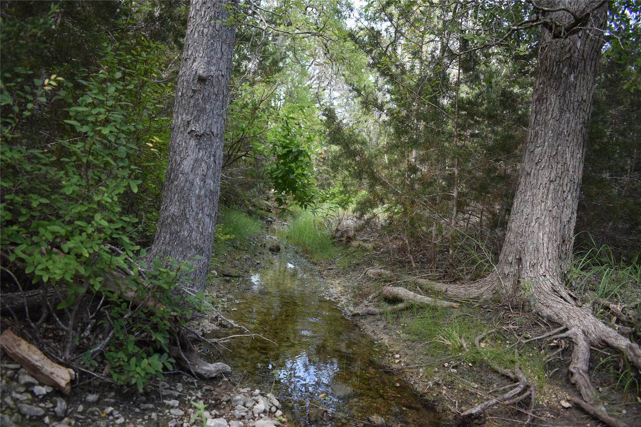 Lot 24 Riparian Elm Rd - Photo 1
