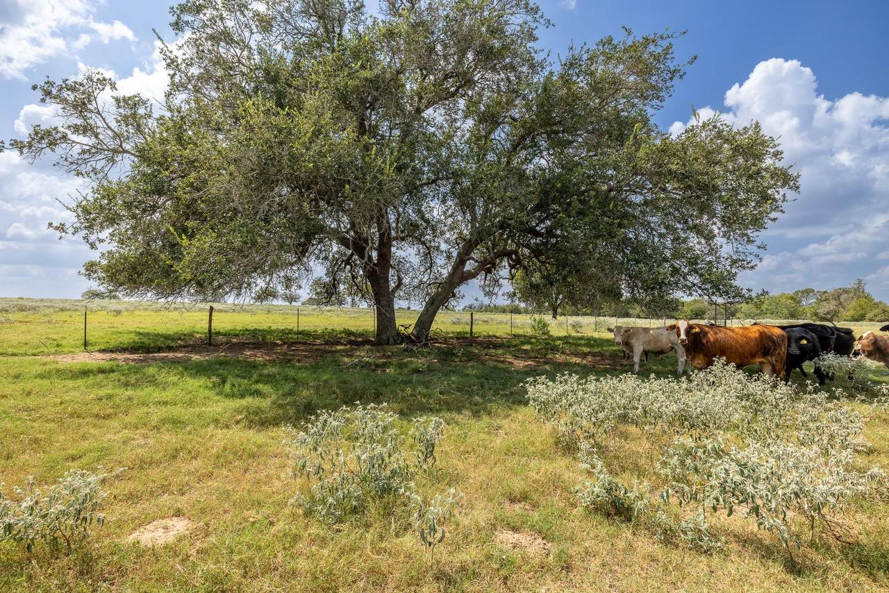 4725 Fm 532 - Photo 1