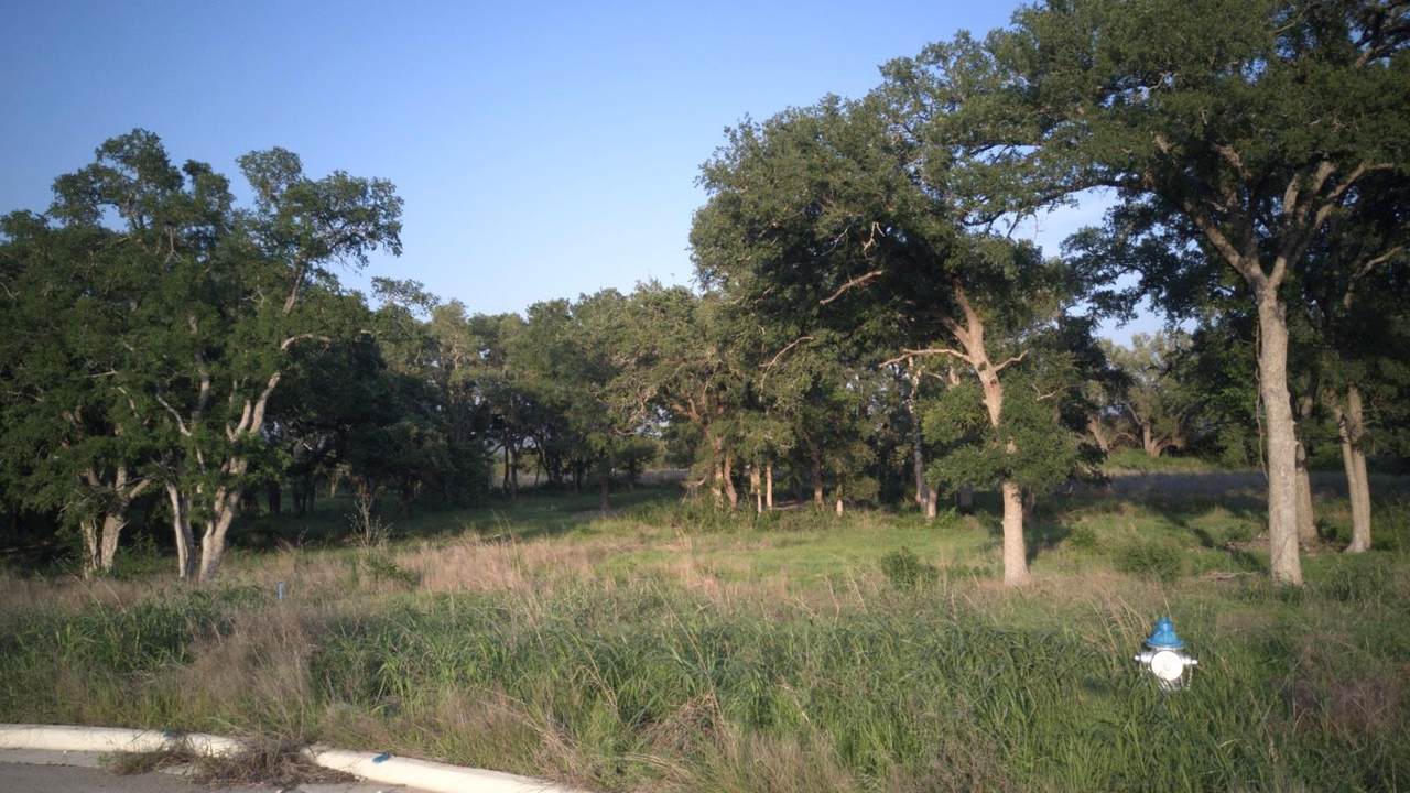 https://bt-photos.global.ssl.fastly.net/austin/1280_boomver_2_6502904-2.jpg