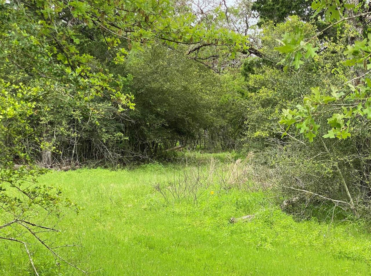 TBD Wilhelm Way - Photo 1