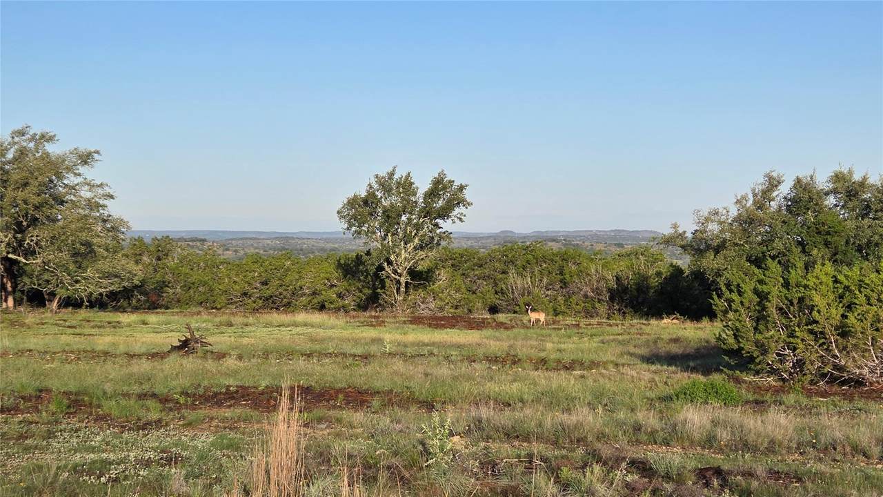 219 Canyon Rd - Photo 1