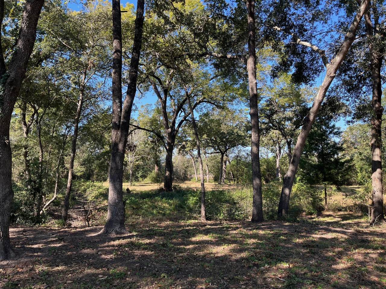 TBD County Road 427 - Photo 1