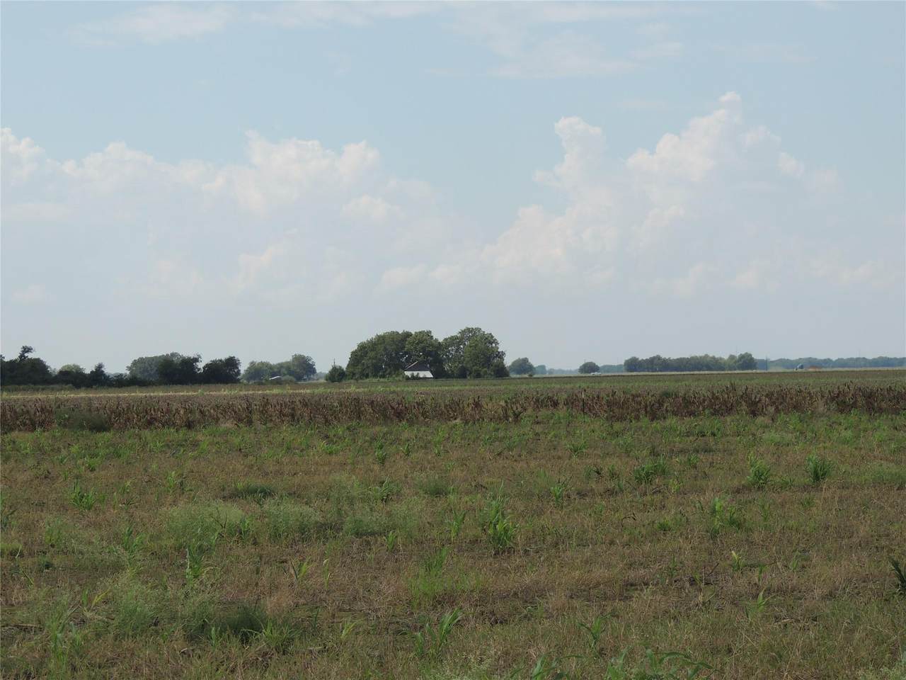 3374 County Road 405 - Photo 1