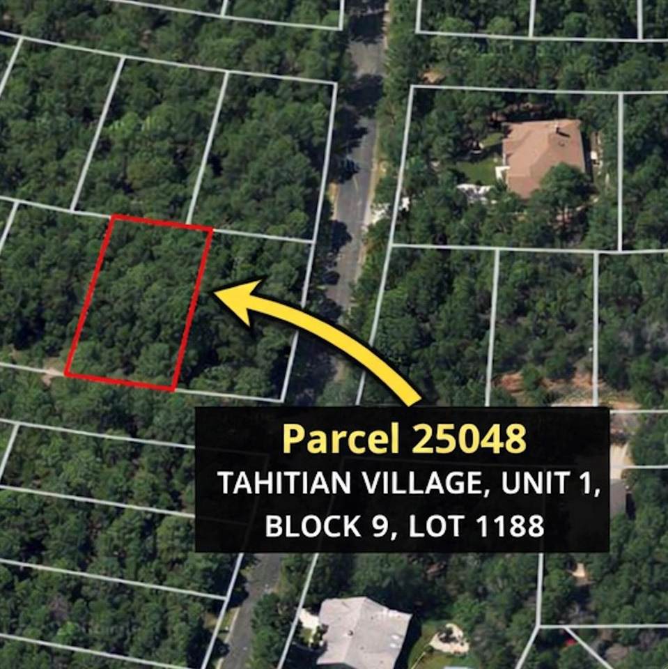 1188 Tahitian Village - Photo 1